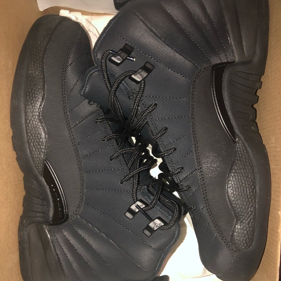 Jordan Other - air jordan 12